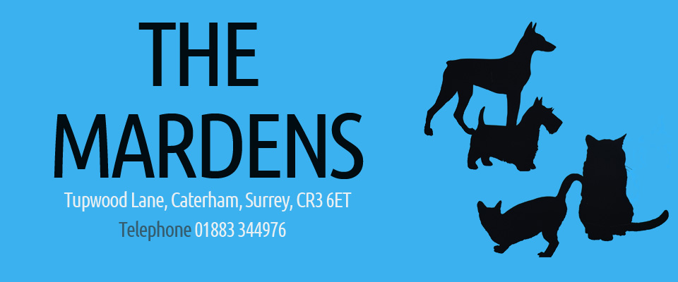 Kennels and Cattery - Surrey Call 01883 344976